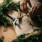 FISKARS Outils de jardinage - Sécateur traditionnel pour arbustes 1057164