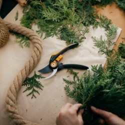 FISKARS Outils de jardinage - Sécateur traditionnel pour arbustes 1057169