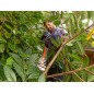 BLACK+DECKER Outils de jardinage - Taille-haie 60 cm, 600 W BEHTS501-QS