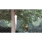BLACK+DECKER Outils de jardinage - Élagueur sur perche sans fil 18V, 1 batterie 2.0 Ah Li-ion, chargeur GPC1820L20-QW