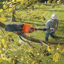 BLACK+DECKER Outils de jardinage - Élagueur sur perche sans fil 18V, 1 batterie 2.0 Ah Li-ion, chargeur GPC1820L20-QW