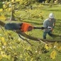 BLACK+DECKER Outils de jardinage - Élagueur sur perche sans fil 18V, 1 batterie 2.0 Ah Li-ion, chargeur GPC1820L20-QW