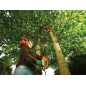 BLACK+DECKER Outils de jardinage - Scie d'élagage à chaîne 800 W PS7525-QS