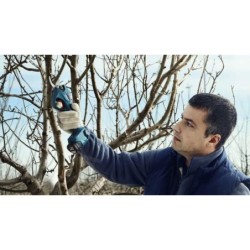 Bosch Outils de jardinage - Sécateur sans fil 12V, 2 batteries 3.0 Ah, chargeur 06019K1021