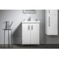 Sapho Theia - Meuble lavabo 565x700x442 mm,2 portes, blanc TH062-3030 Sapho Theia - Meuble lavabo 565x700x442 mm,2 portes, blanc TH062-3030