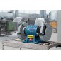 Bosch Outillage - Meuleuse d'établi double disque 600 W 060127A400