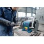 Bosch Outillage - Meuleuse d'établi double disque 600 W 060127A400