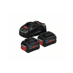 Bosch Accessoires - Set chargeur 8A, 2 batteries 18 V 5,5 Ah 1600A0214C