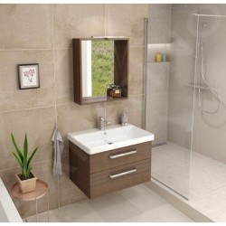 Sapho Theia - Meuble lavabo 756x500x435 mm, 2 tiroirs, pin rustique TH080-1616