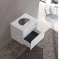 Keuco Stageline - Meuble sous lavabo, 650x550x490 mm, avec découpe pour lavabo, blanc 32853300000 Keuco Stageline - Meuble sous lavabo, 650x550x490 mm, avec découpe pour lavabo, blanc 32853300000