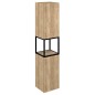 Sapho Skara - Armoire haute, 35x171x32 cm, 2 portes, noir mat/chêne Alabama CG010-2222