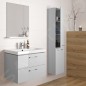 Cersanit Lara - Armoire avec lavabo, 45x59x45 cm, 2 tiroirs, gris S801-216-DSM