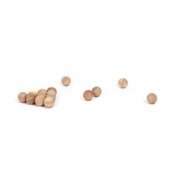 Compactor Accessoires - Kit anti-mites, bois de cèdre CED021
