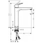 Hansgrohe Focus - Mitigeur de lavabo 230, chrome 31532000 Hansgrohe Focus - Mitigeur de lavabo 230, chrome 31532000