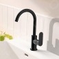 Hansgrohe Rebris S - Mitigeur de lavabo avec vidage et bec orientable, noir mat 72536670