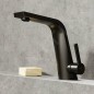 Steinberg 260 - Mitigeur de lavabo avec vidage, noir mat 260 1000 1 S