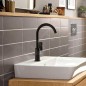 Hansgrohe Rebris E - Mitigeur de lavabo avec vidage et bec orientable, noir mat 72576670