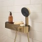 Hansgrohe ShowerTablet Select - Mitigeur thermostatique de douche, bronze brossé 24360140
