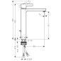 Hansgrohe Metris S - Mitigeur de lavabo 260 avec garniture de vidage, chrome 31022000