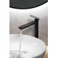 Aqualine Daphne - Mitigeur de lavabo, noir mat DH601B