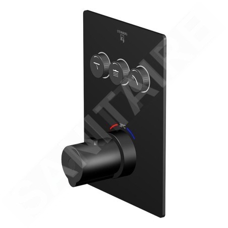 Steinberg 390 - Mitigeur thermostatique encastré pour 3 sorties, noir 390 4231 3 S