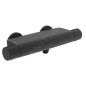 Hansa Optima - Mitigeur thermostatique de douche, noir mat 6514020133