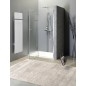FORTIS Porte de douche Alcove 1000 mm, verre clair/gauche FORTIS Porte de douche Alcove 1000 mm, verre clair/gauche