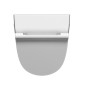 COMMUNITY retour urinal avec des trous de couvercle 31x65cm, blanc ExtraGlaze