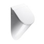 COMMUNITY back inlet urinal avec des trous de couvercle, 31x61cm, blanc ExtraGlaze COMMUNITY back inlet urinal avec des trous de couvercle, 31x61cm, blanc ExtraGlaze
