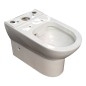 Cuvette de toilette pour toilettes combi