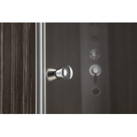 Portes de douche pivot PILOT 900mm