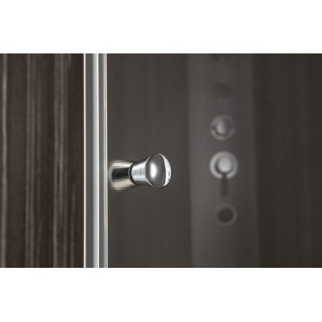 Portes de douche pivot PILOT 900mm