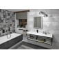 ARUBA Bracket avec plateau 248,4x40x49 cm, noir mat
