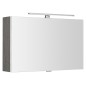 Armoire à glace CLOE avec éclairage LED, 80x50x18cm, chêne argenté