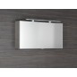 CLOE miroir armoire incl. Lumière LED, 100x50x18cm, chêne argenté CLOE miroir armoire incl. Lumière LED, 100x50x18cm, chêne argenté