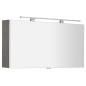 CLOE miroir armoire incl. Lumière LED, 100x50x18cm, chêne argenté CLOE miroir armoire incl. Lumière LED, 100x50x18cm, chêne argenté