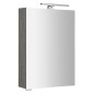 MIRRÓ miroir armoire incl. Lumière LED, 50x70x16cm, gauche/droite, chêne argenté MIRRÓ miroir armoire incl. Lumière LED, 50x70x16cm, gauche/droite, chêne argenté