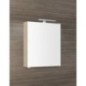 Armoire de toilette MIRRÓ avec éclairage LED, 60x70x16cm, gauche/droite, Elm Bardini