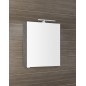 MIRRÓ miroir armoire incl. Lumière LED, 60x70x16cm, gauche/droite, chêne argenté MIRRÓ miroir armoire incl. Lumière LED, 60x70x16cm, gauche/droite, chêne argenté