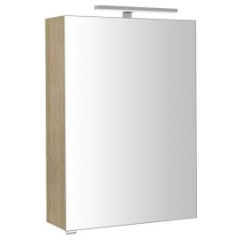 RIWA miroir armoire incl. Lumière LED, 50x70x17cm, Elm Bardini