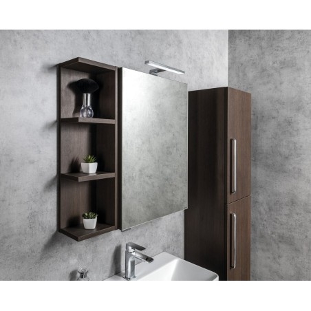 RIWA miroir armoire incl. Lumière LED, 50x70x17cm, Elm Bardini