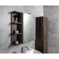 RIWA miroir armoire incl. Lumière LED, 50x70x17cm, Elm Bardini RIWA miroir armoire incl. Lumière LED, 50x70x17cm, Elm Bardini