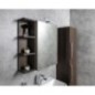 RIWA miroir armoire incl. Lumière LED, 50x70x17cm, Pine Rustic RIWA miroir armoire incl. Lumière LED, 50x70x17cm, Pine Rustic