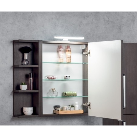 RIWA miroir armoire incl. Lumière LED, 60x70x17cm, chêne argenté