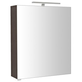 RIWA miroir armoire incl. Lumière LED, 60x70x17cm, Pine Rustic