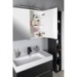 RIWA miroir armoire incl. Lumière LED, 81x70x17cm, Elm Bardini RIWA miroir armoire incl. Lumière LED, 81x70x17cm, Elm Bardini