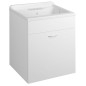 Couvercle en plastique avec Cabinet 60x50 cm, Trap inclus