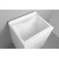Couvercle en plastique avec Cabinet 60x50 cm, Trap inclus