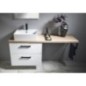 VEGA Vanity Unit 62x50x43,6cm, 2x tiroir, blanc VEGA Vanity Unit 62x50x43,6cm, 2x tiroir, blanc