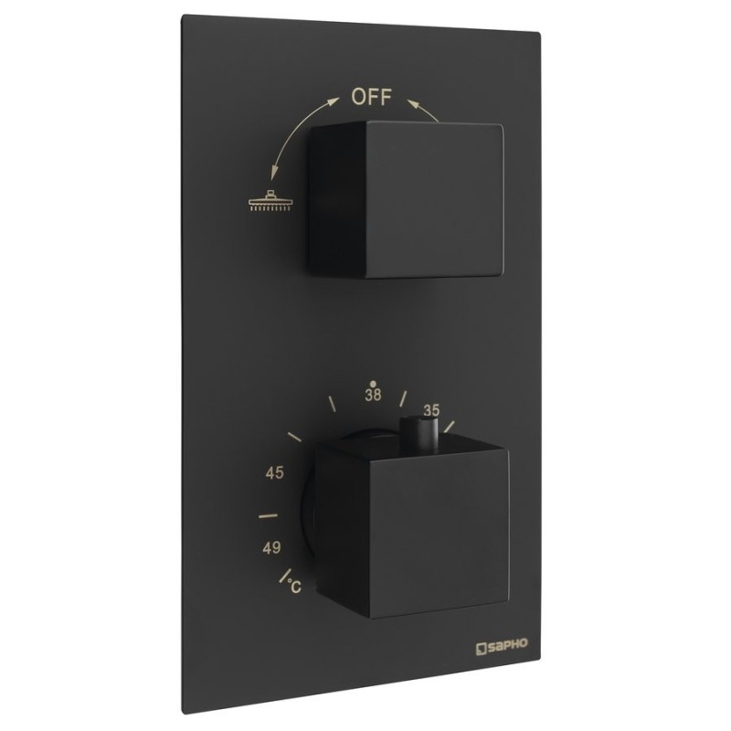 Robinet de douche thermostatique LATUS, Boîte d'installation, 2 Outlets, noir
